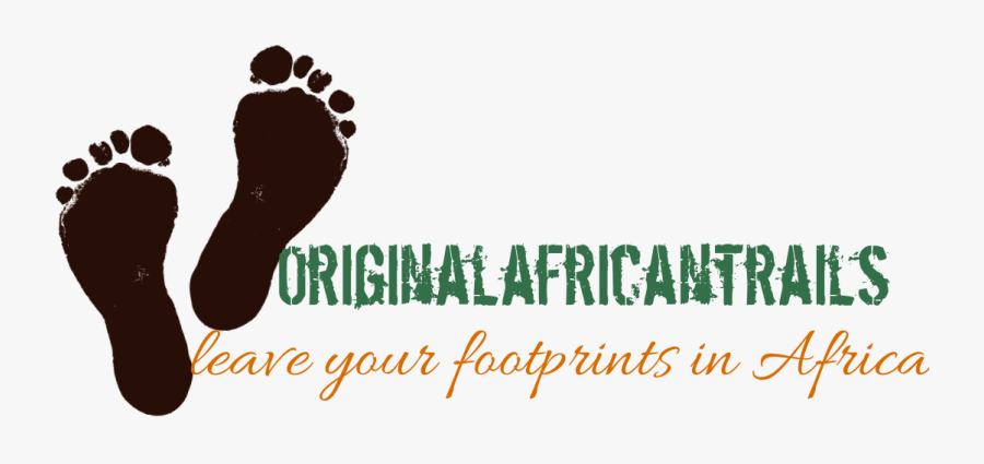 Footprint Transparent Trail - Illustration , Free Transparent Clipart ...