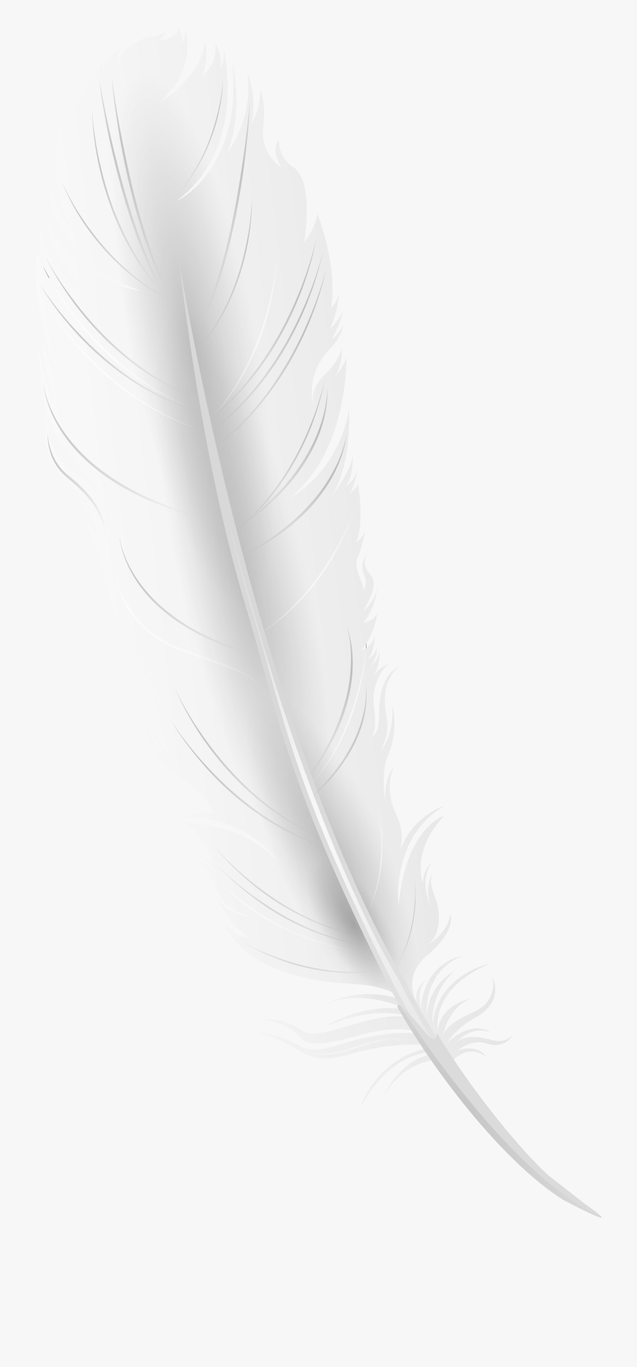 Feather Clip Art Image - White Feather Png Transparent, Transparent Clipart