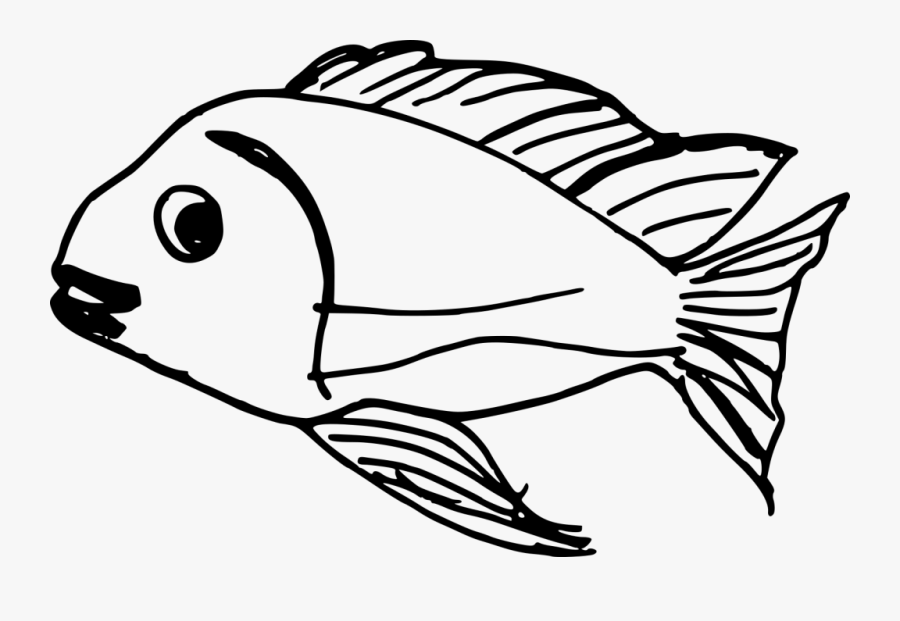 Fish Png For Drawing, Transparent Clipart