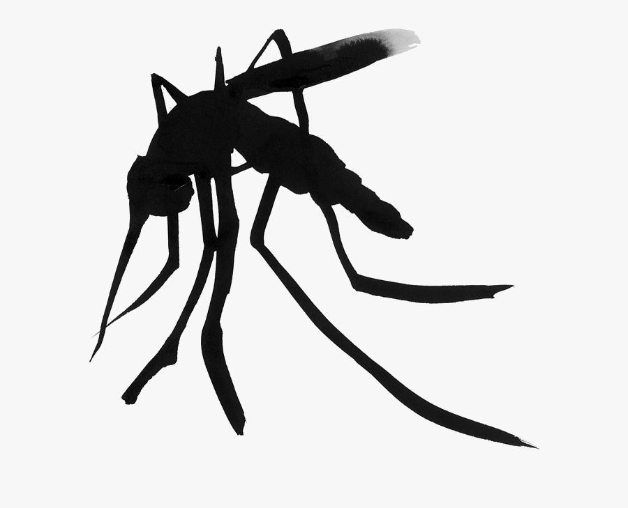 Mosquito Household Insect Repellents Amazon - Deet, Transparent Clipart