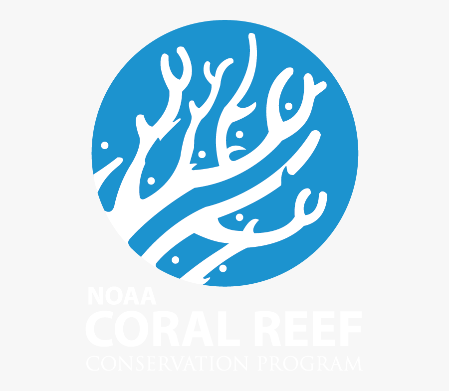 Transparent Coral Reef Png - Great Barrier Reef Icon, Transparent Clipart