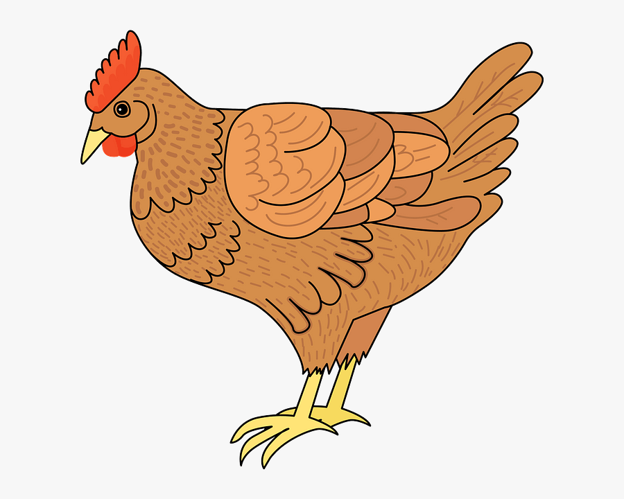 Turkey, Transparent Clipart