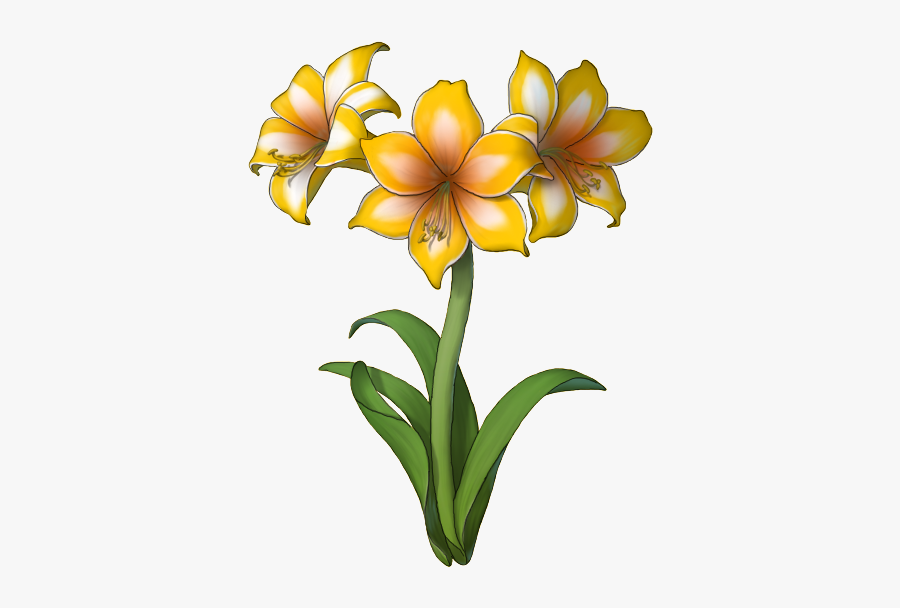 Tm - Amaryllis Clipart, Transparent Clipart