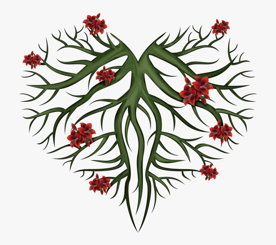 Rosa Glauca, Transparent Clipart