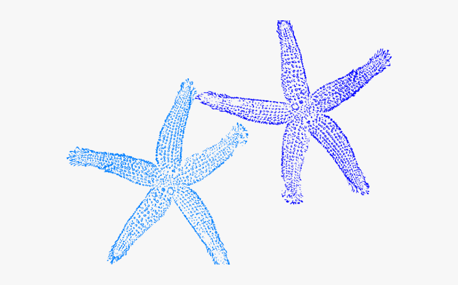 Starfish Clipart Blue Starfish - Blue Starfish Clip Art, Transparent Clipart