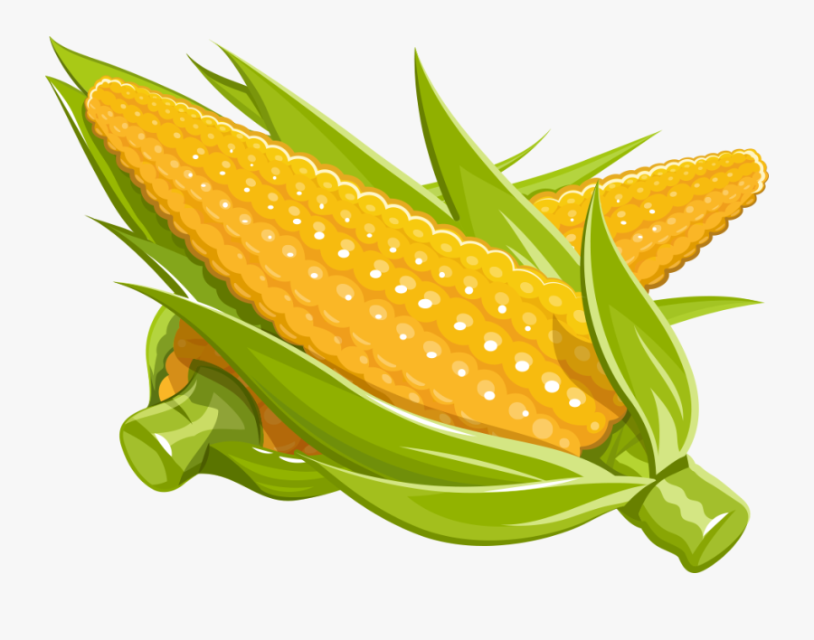 Corn Vector Png - Corn Illustration Png, Transparent Clipart