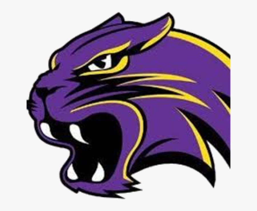 Purple Clipart Wildcat - Waconia Wildcats Football Logo , Free ...