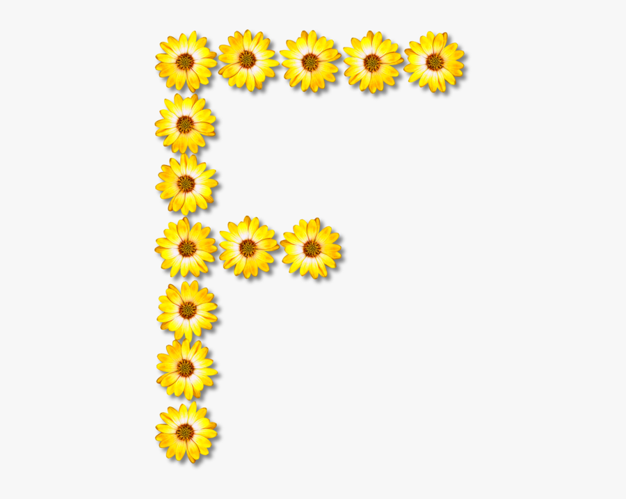Sunflower Seed,chrysanths,plant - Flowers Alphabet Png E, Transparent Clipart