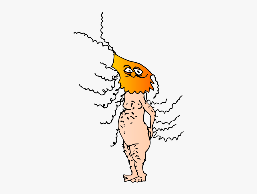 Hairy Harry - Illustration, Transparent Clipart