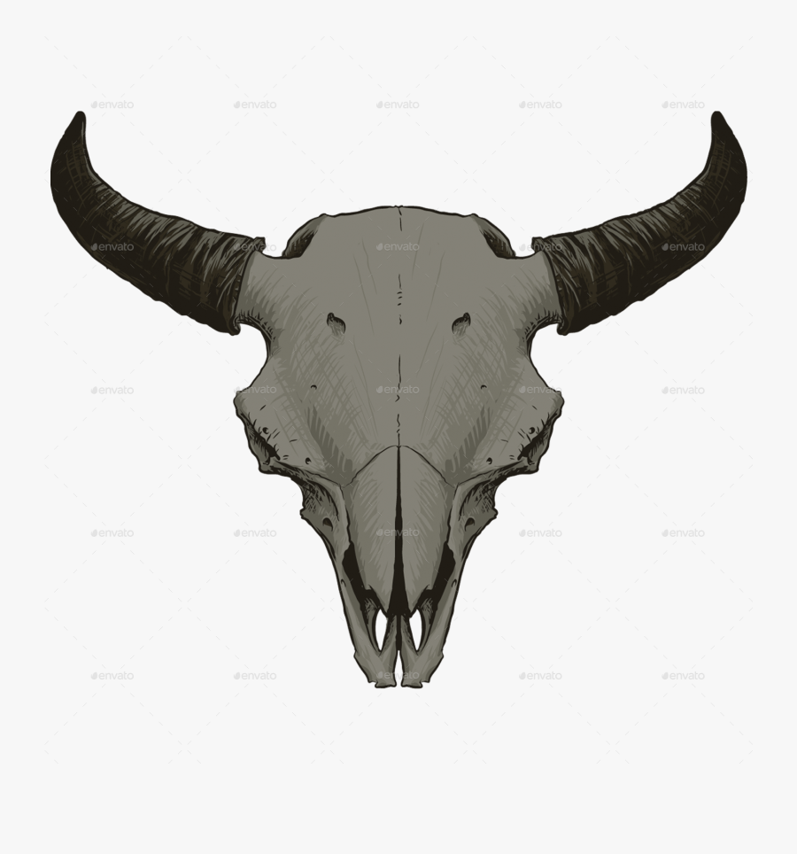 Transparent Buffalo Skull Png, Transparent Clipart
