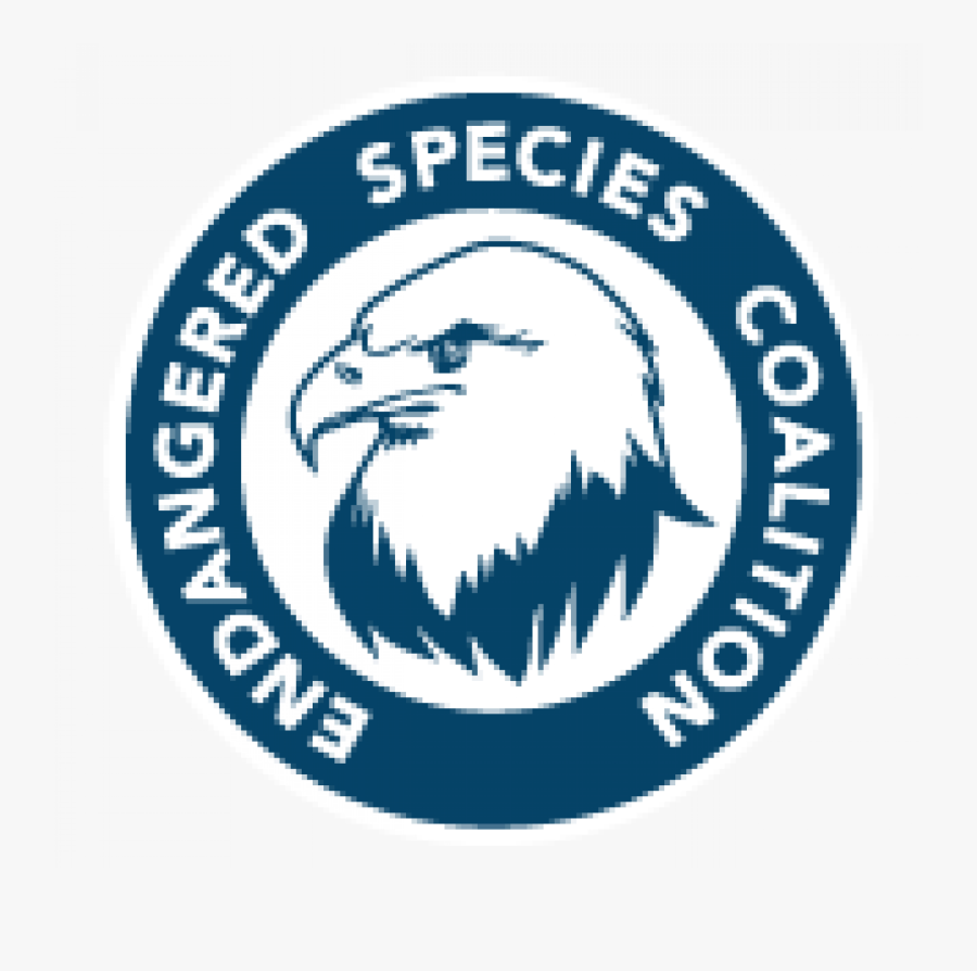 Endangered Species Coalition, Transparent Clipart