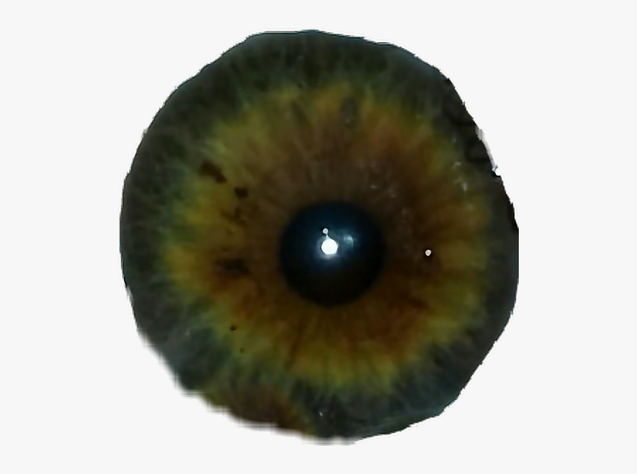 #pupila #ojo #verde #freetoedit - Close-up, Transparent Clipart