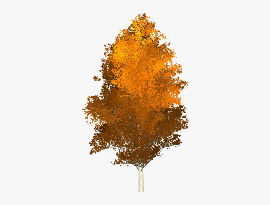 Herbst Baum Png Free Transparent Clipart Clipartkey