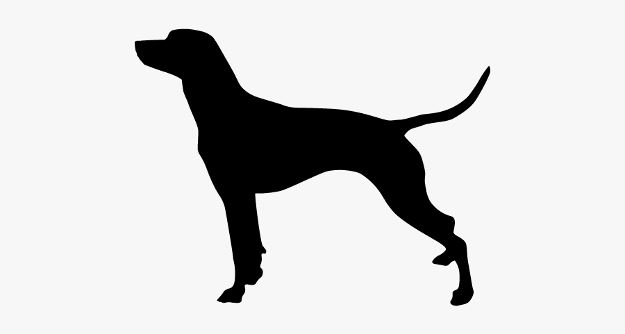 Rat Terrier Smooth Fox Terrier Scottish Terrier Dog - Sportz Vibe Dog Rug, Transparent Clipart