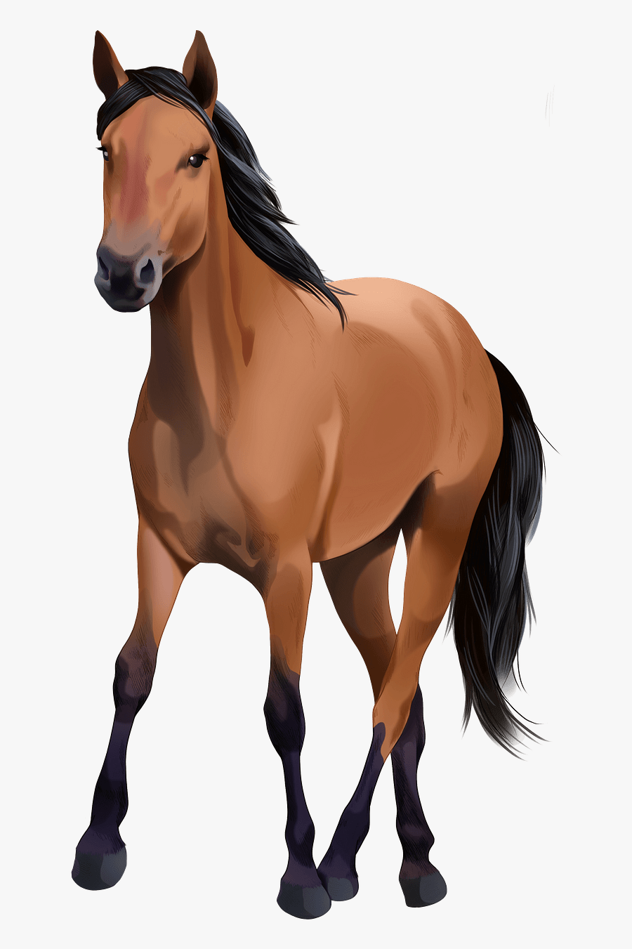 Mane , Free Transparent Clipart - ClipartKey