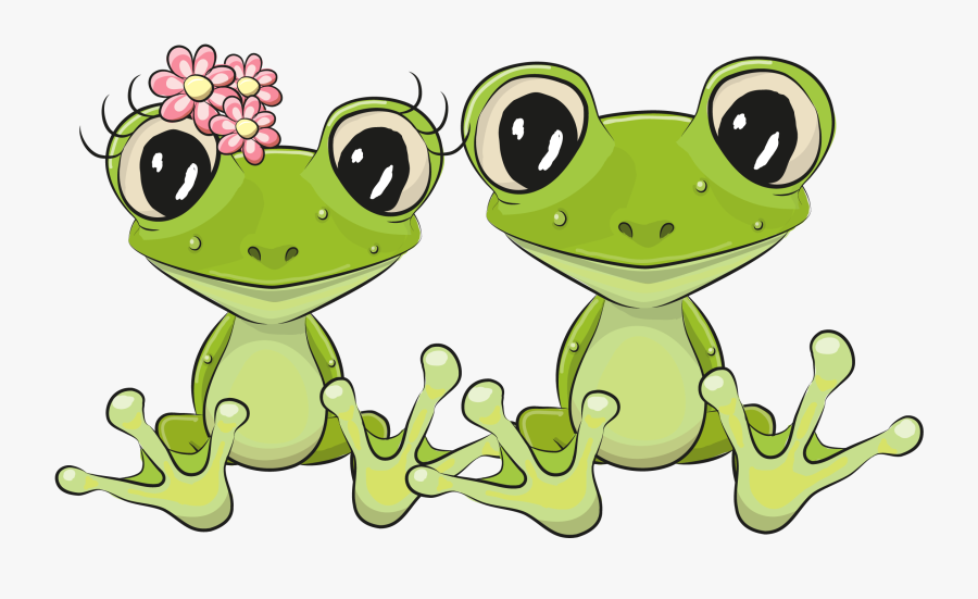 Frog Lithobates Clamitans - Happy Birthday Frog, Transparent Clipart