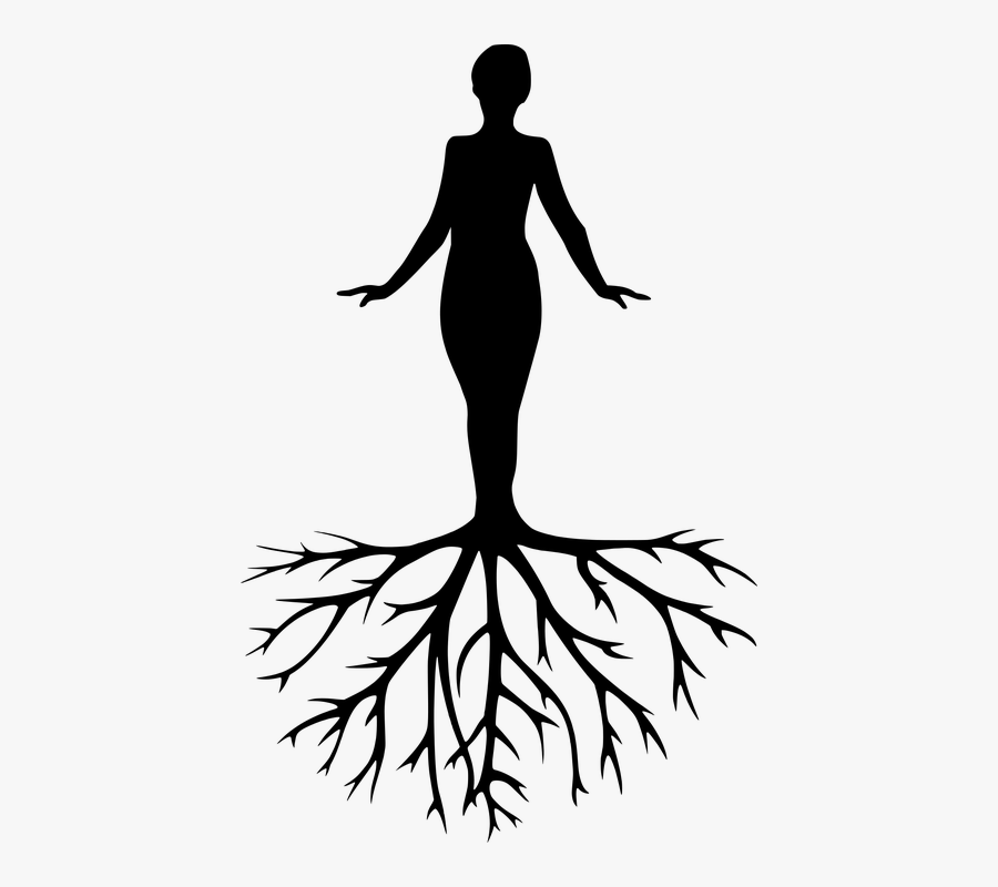 Women, Tree, Yoga, Meditation, Harmony, Silhouette - Yoga Day Drawing Making, Transparent Clipart