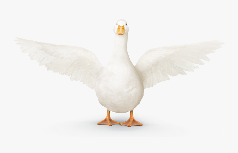 Clip Art Brand Center - Goose, Transparent Clipart