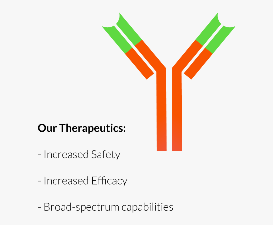 Transparent Antibody Clipart, Transparent Clipart