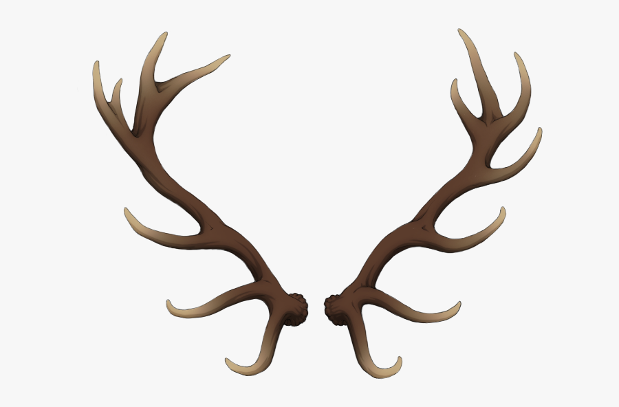 Reindeer Antler Elk Horn - Reindeer Antlers Png, Transparent Clipart