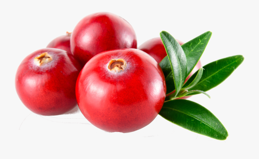 Cranberries PNG Image PurePNG Free Transparent CC0 PNG, 41% OFF