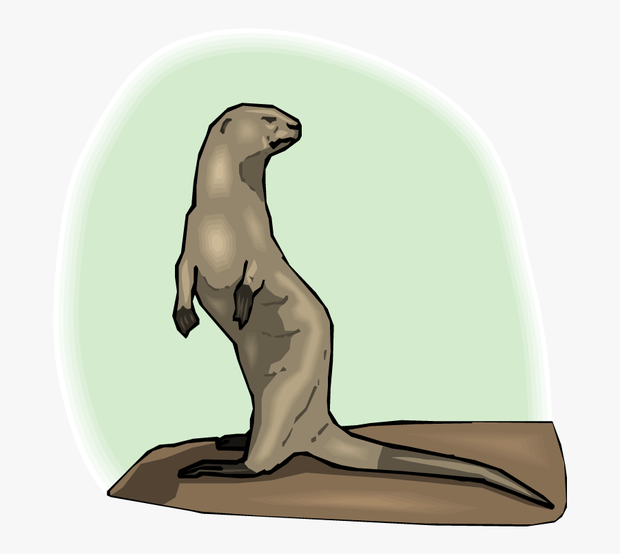 California Sea Lion, Transparent Clipart