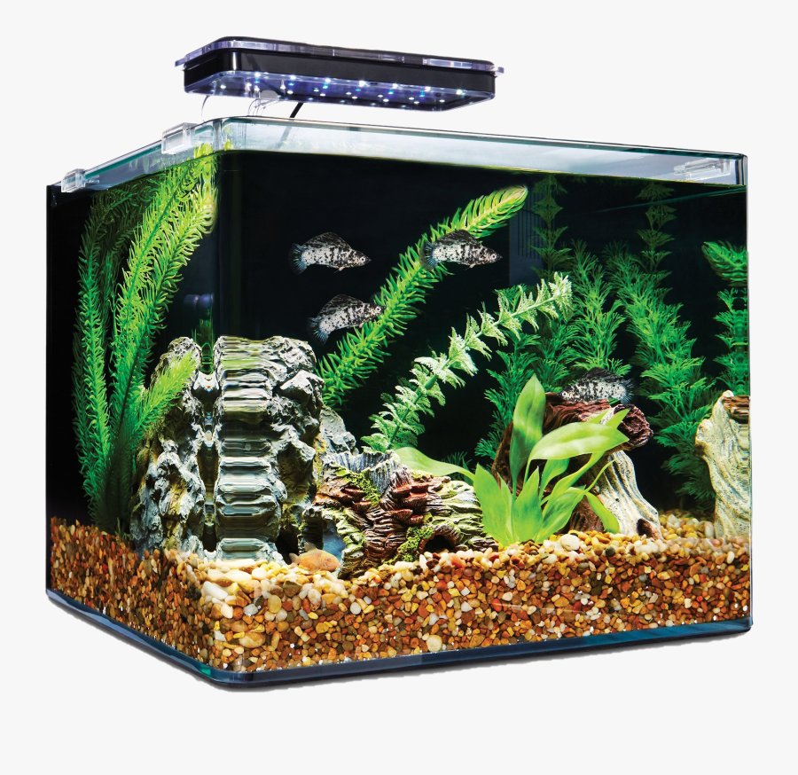 Aquarium Fish Tank Png Free Download - Imagitarium 6.8 Gallon Tank, Transparent Clipart