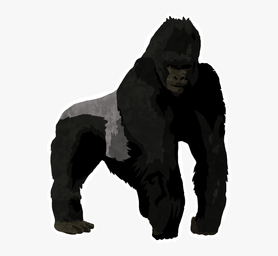 Gorilla Clipart Mammal - Monkey, Transparent Clipart