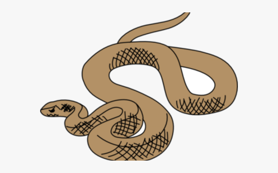 Python Clipart Pet Snake - Brown Tree Snake Drawing, Transparent Clipart