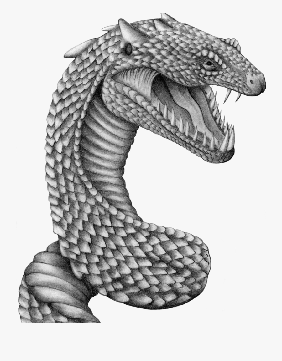 Transparent White Snake Png - Harry Potter Basilisk Sketch , Free