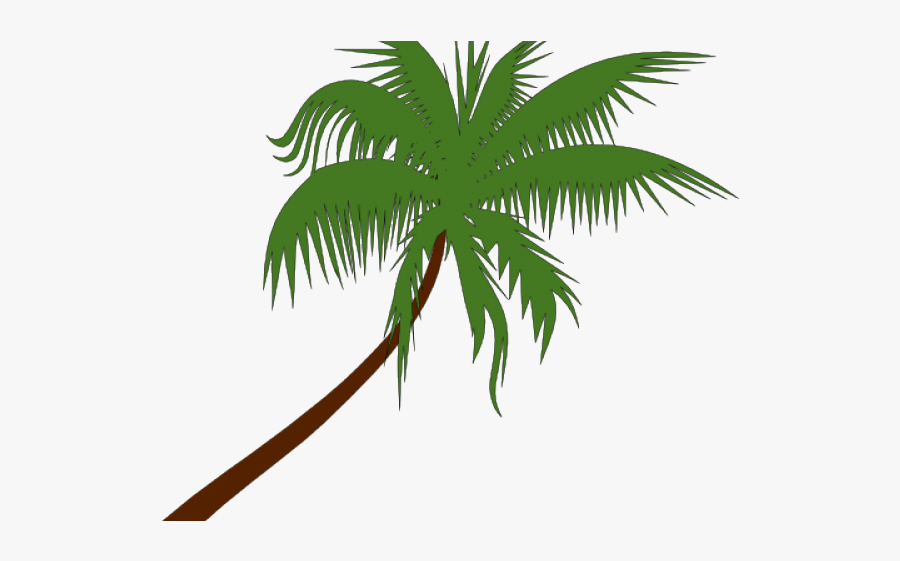 Island Clipart Transparent - Palm Trees Vector Transparent, Transparent Clipart