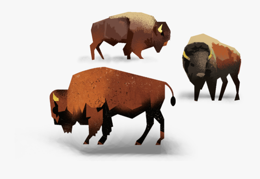 Illustrated Bison - Bison, Transparent Clipart