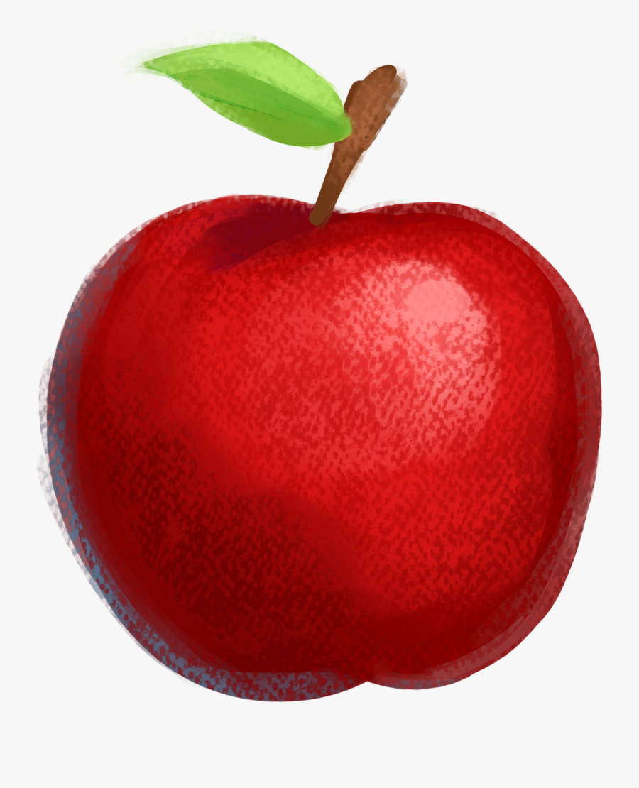 Apple Drawing Fruit Illustration - ภาพ วาด แอ ป เปิ้ ล, Transparent Clipart