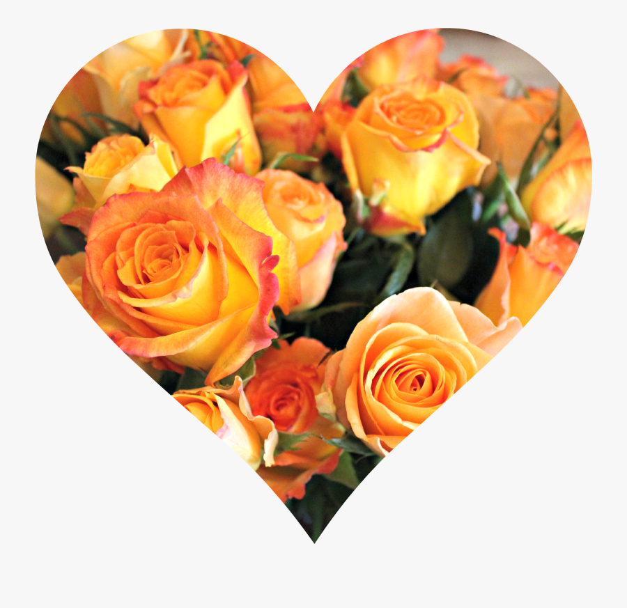 Transparent Orange Rose Png, Transparent Clipart