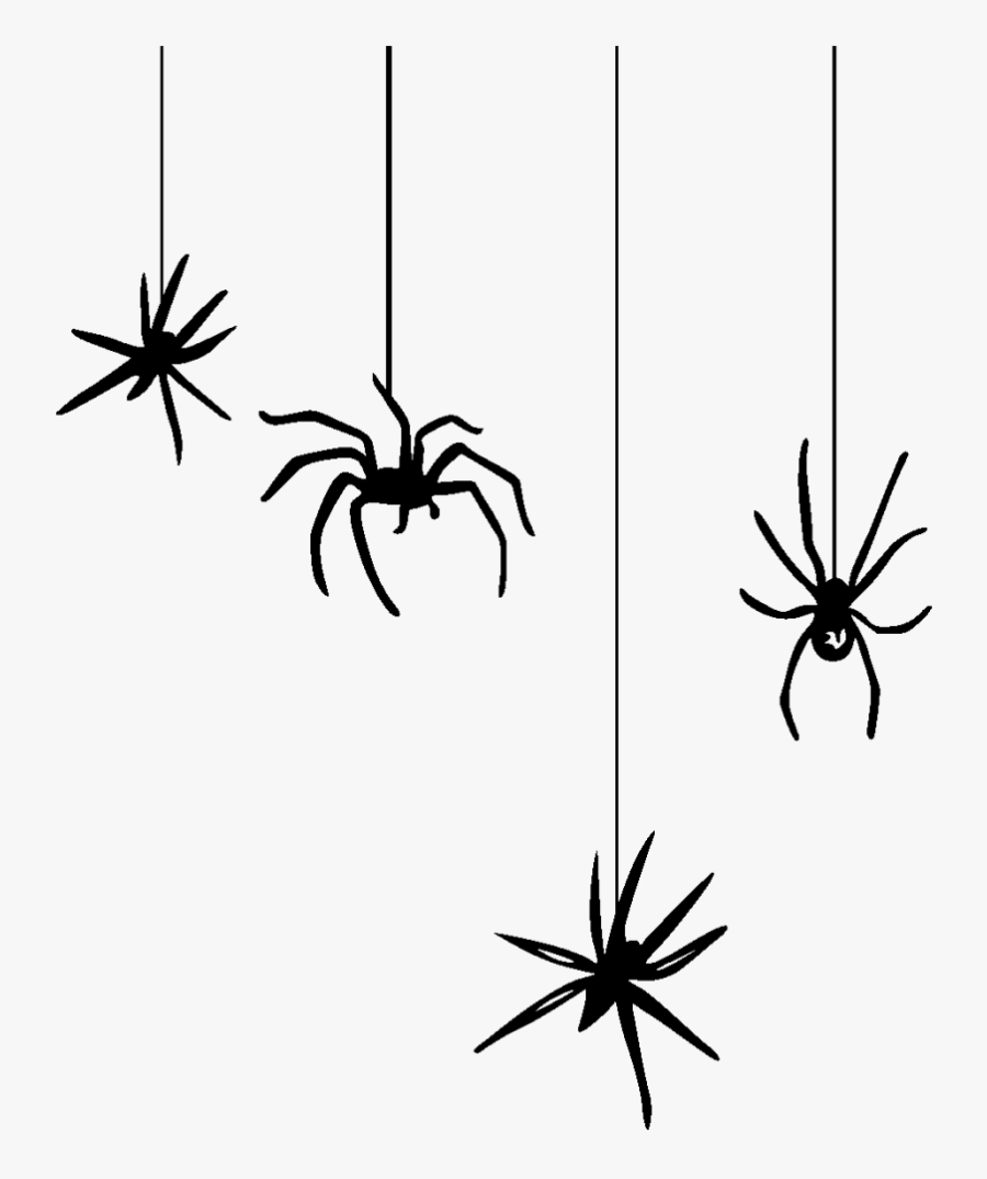 Arachnid - Halloween Spider Png, Transparent Clipart