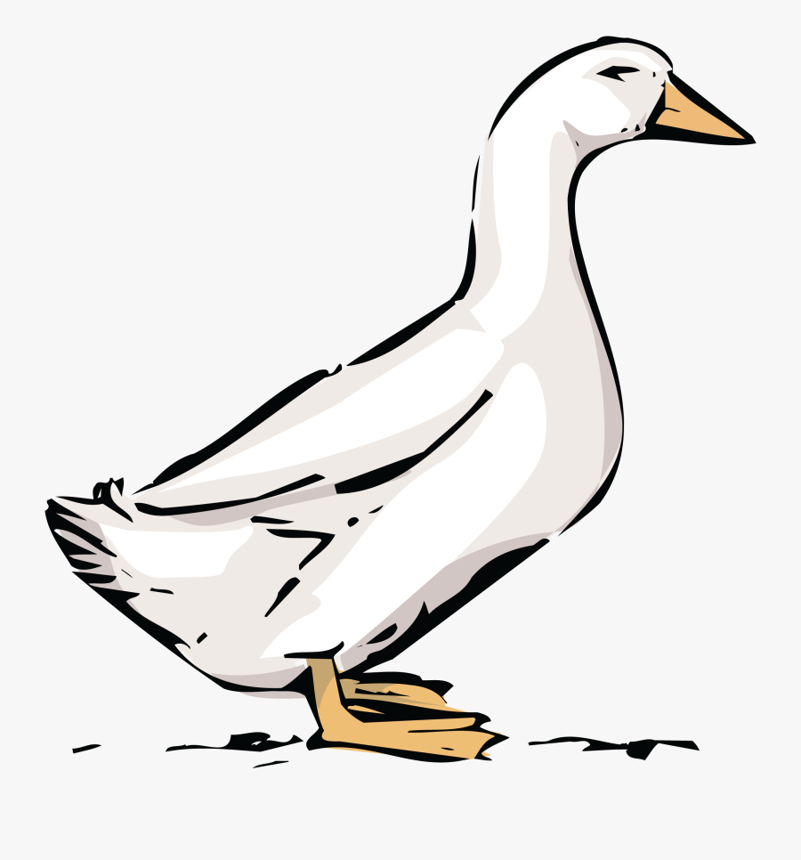 Goose Clipart - Ducks Animal Farm, Transparent Clipart