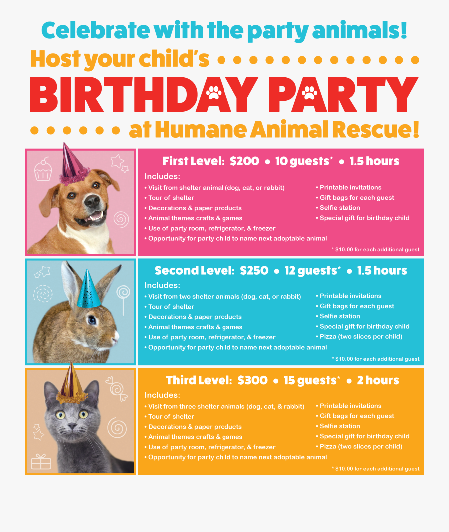 Clip Art Birthday Party Flyer - Cat Jumps, Transparent Clipart
