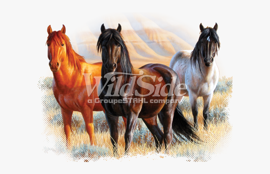 Clip Art In Meadow The - Three Horses Draw, Transparent Clipart