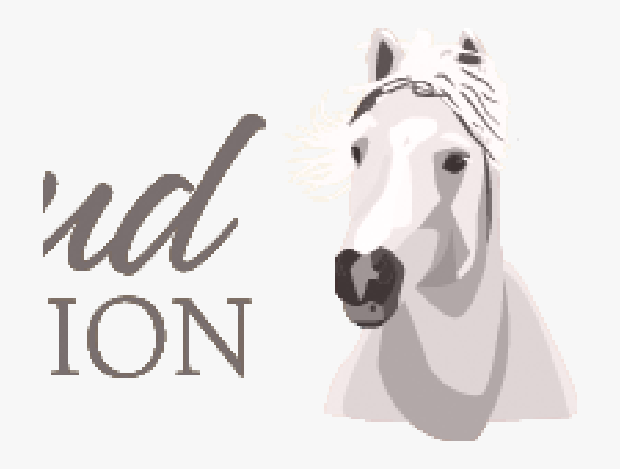 Transparent Wild Horse Png - Cloud Foundation, Transparent Clipart