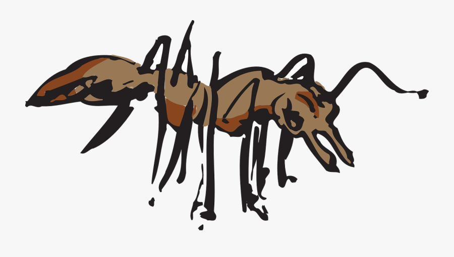 Ant Insect Crawling Free Photo - Animals Clipart, Transparent Clipart