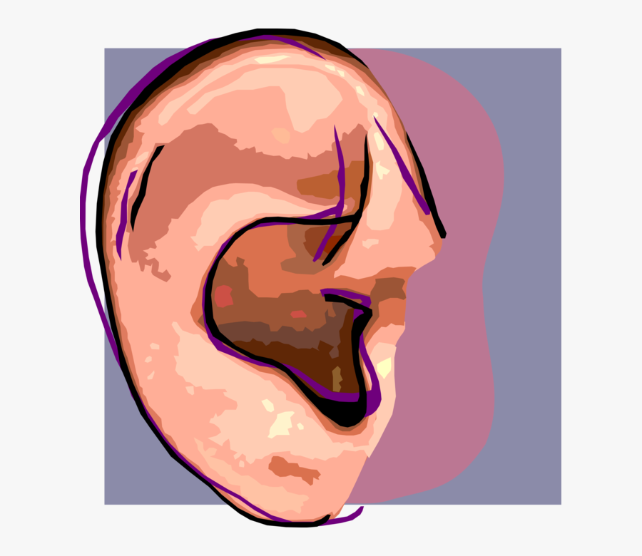 Vector Illustration Of Human Ear For Hearing Clipart, Transparent Clipart