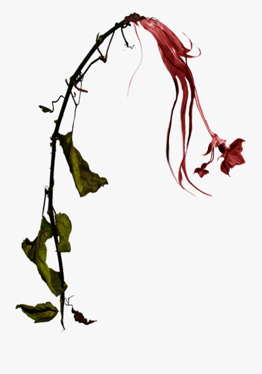 Wilted Red Daffodil Stock Photo Png By - Wilted Flower Png, Transparent Clipart