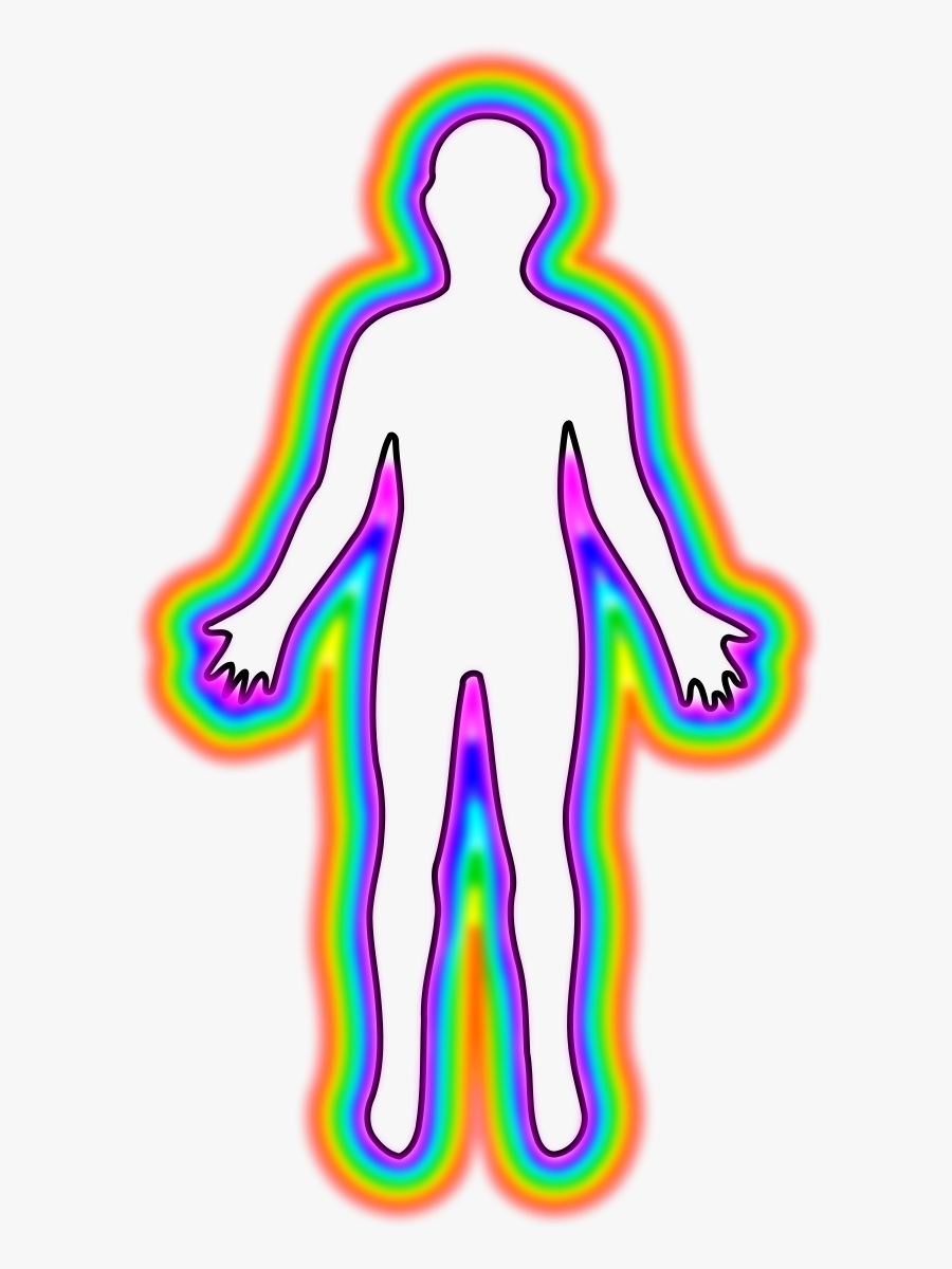 Human Body Female Body Shape Outline Clip Art - Transparent Human Body