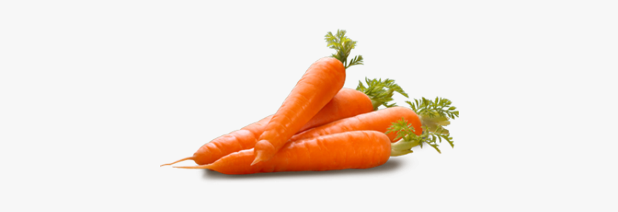 Carrot Fruit, Transparent Clipart