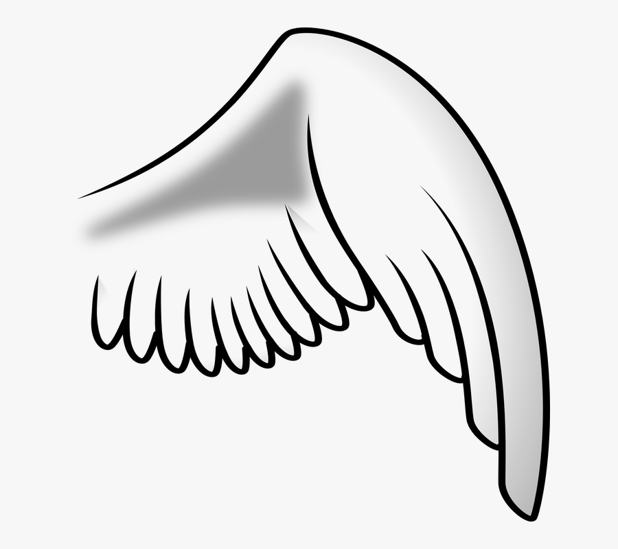 Right Angel Wing Transparent, Transparent Clipart