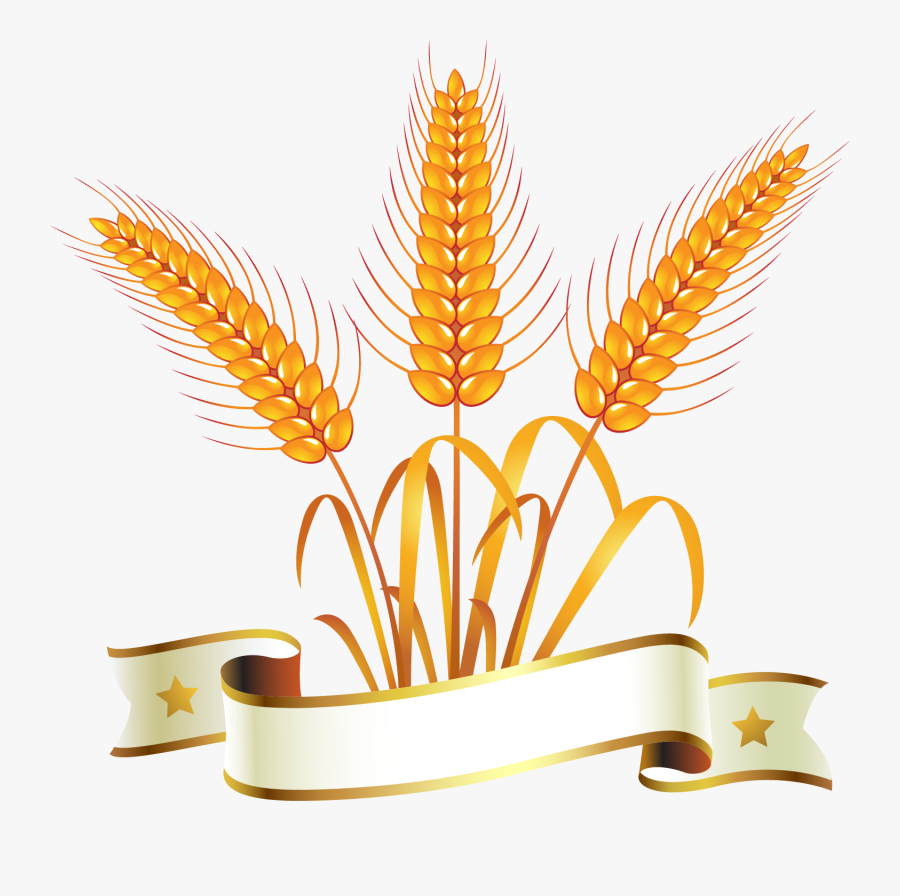 Gold Wheat Logo Png , Free Transparent Clipart - ClipartKey