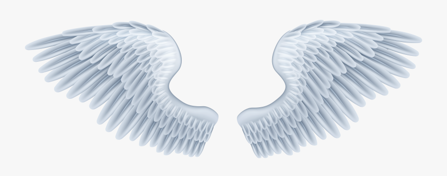 Baby Angel Wings Png, Transparent Clipart
