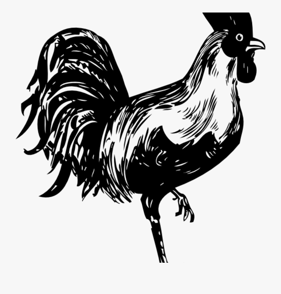Rooster Clipart Black And White Rooster Clip Art At - Ayam Pelung, Transparent Clipart
