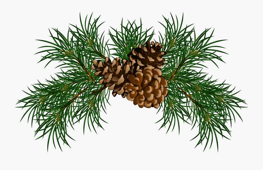 Pinecone Clip Art - Christmas Pine Cone Png , Free Transparent Clipart ...