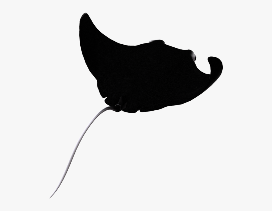 Stingray Clipart Eagle Ray - All Black Silhouette Of A Stingray Transparent, Transparent Clipart